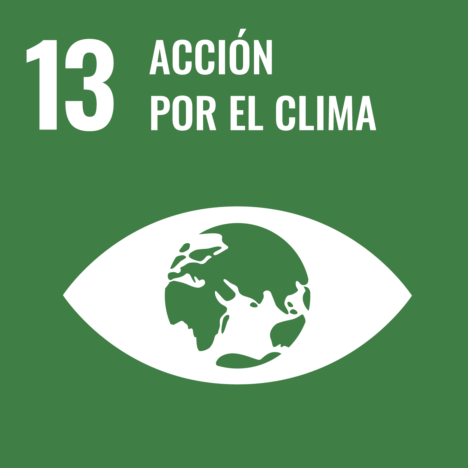 13 - Acción por el clima